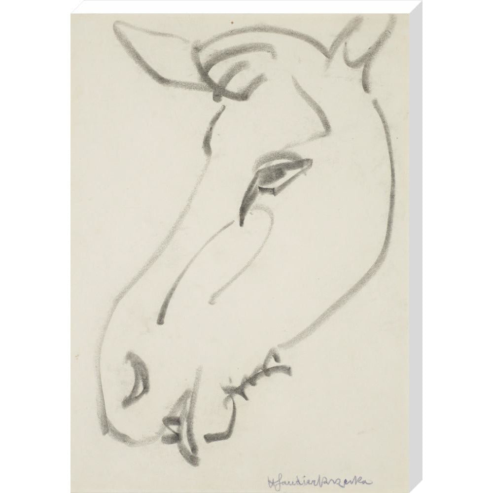 Head of a horse - Art print
