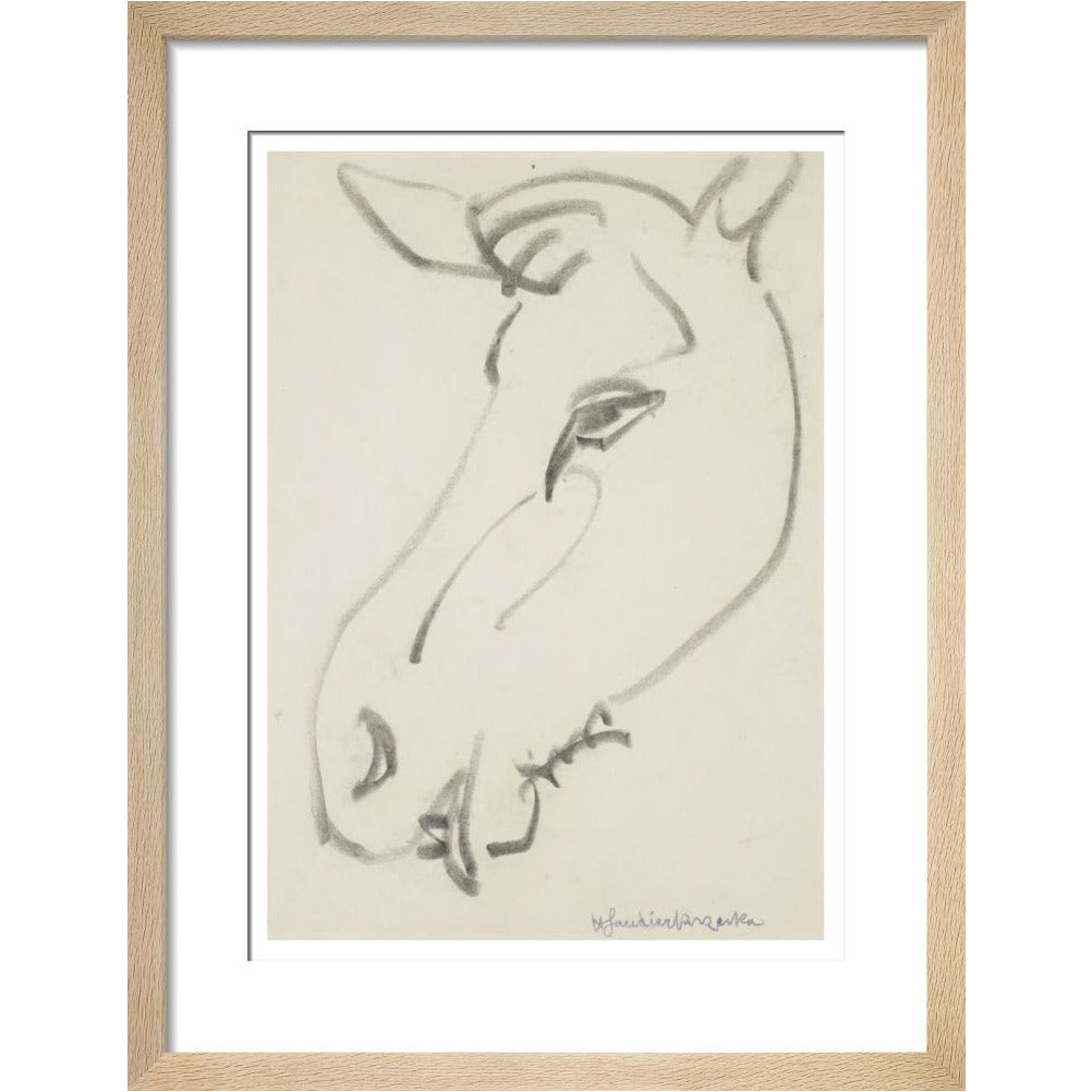 Head of a horse - Art print