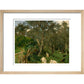 Olives in Corfu - Art print