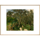 Olives in Corfu - Art print
