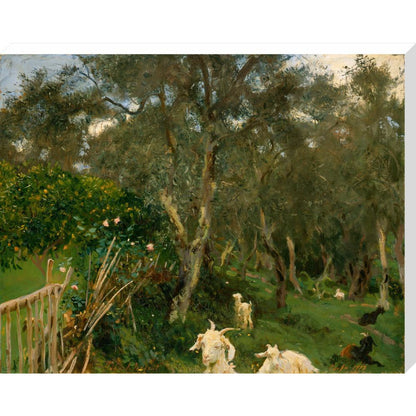 Olives in Corfu - Art print
