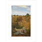 94 Degrees in the Shade - Art print
