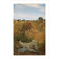 94 Degrees in the Shade - Art print
