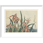 Irises and grasshopper - Art print