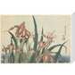 Irises and grasshopper - Art print