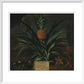 Pineapple grown in Sir Matthew Decker's garden - Art print