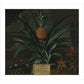 Pineapple grown in Sir Matthew Decker's garden - Art print