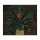 Pineapple grown in Sir Matthew Decker's garden - Art print