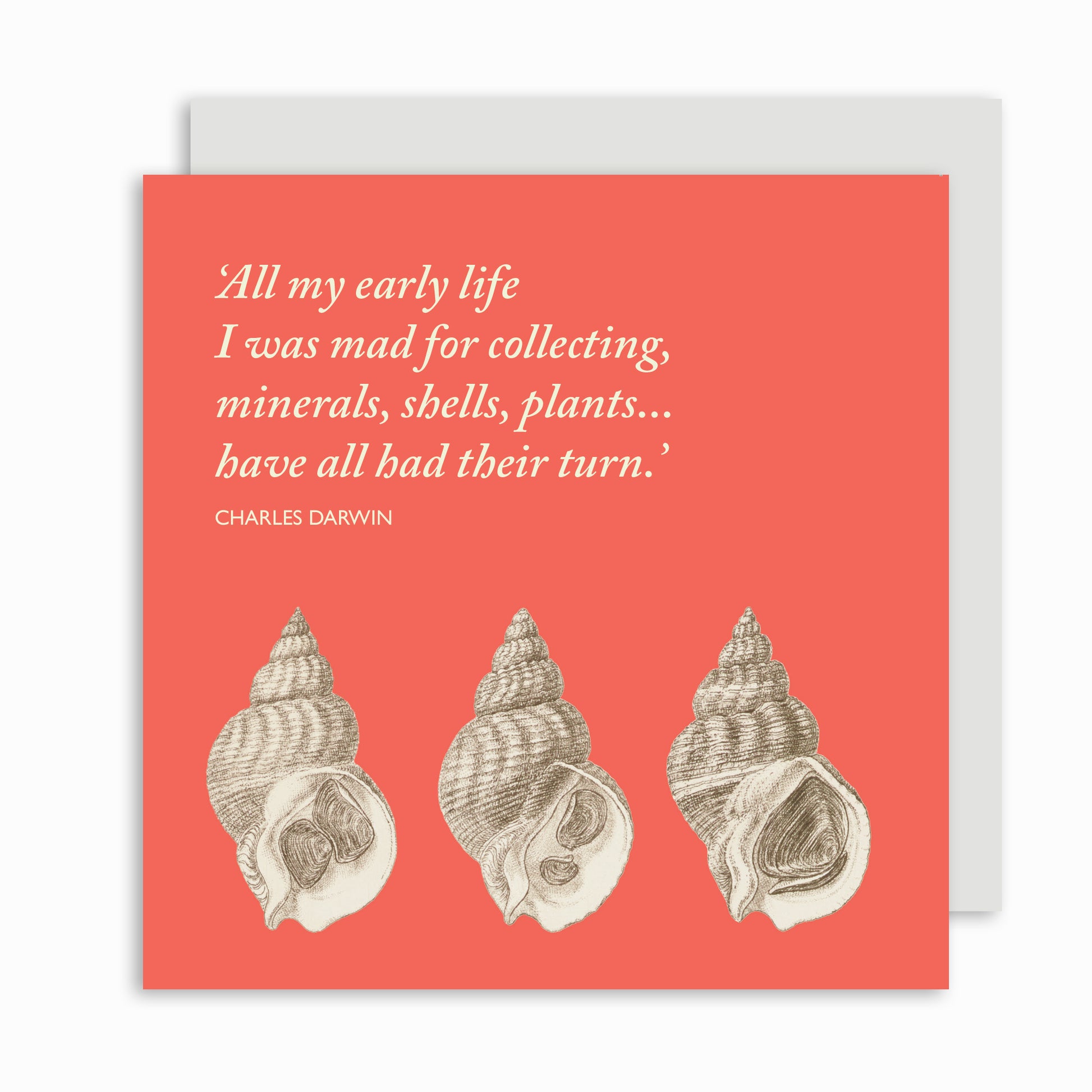 Square greeting card. Coral/orange background with quote in very pale green: 'All my early life I was mad for collecting, minerals, shells, plants... have all had their turn.' Charles Darwin. Below the quote, three line drawings of conch shells.